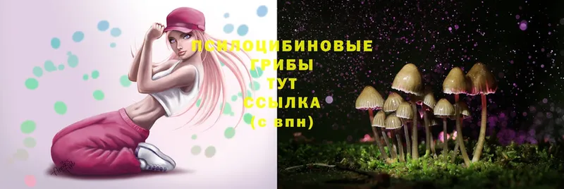 мега зеркало  Собинка  Псилоцибиновые грибы MAGIC MUSHROOMS 